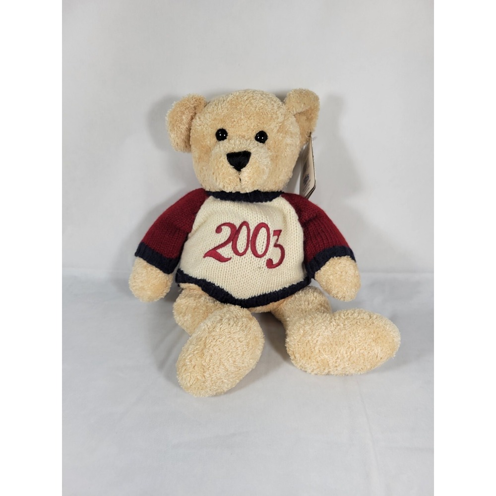 2003 Teddy Bear Plush Kids Of America Toy‎ Brown/Tan With Sweater 15" NWT Tags